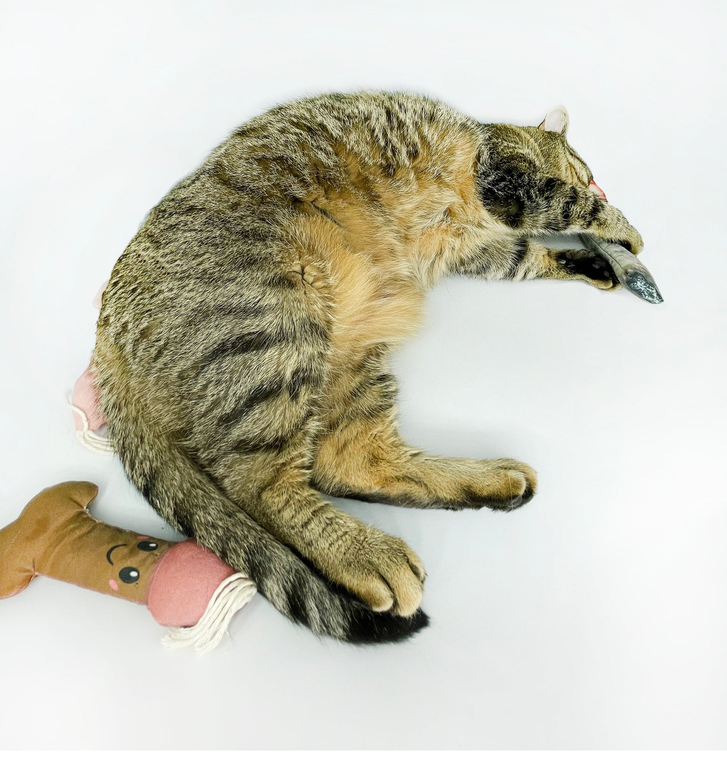 Meowgic Meowshroom